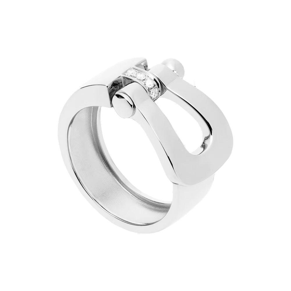 Force 10 Horseshoe Buckle Ring-Silver